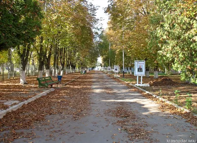 Краснодар Вики - Тихорецк, Мемориальный комплекс памятник Свободы