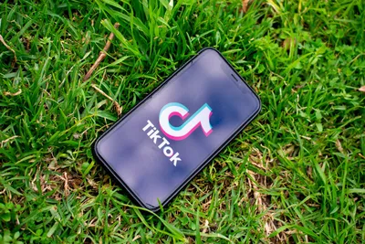 How to post TikTok to Instagram | Clipchamp Blog