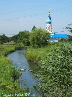 База отдыха Разгуляй - Тимашевск, Краснодарский край, фото базы отдыха,  цены, отзывы