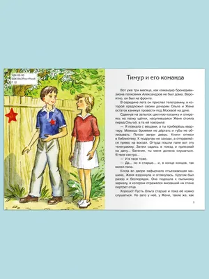 ШКОЛЬНАЯ БИБЛИОТЕКА. ТИМУР И ЕГО КОМАНДА (А.П. Гайдар) 128с. : СЕРИЯ:  ШКОЛЬНАЯ БИБЛИОТЕКА тв.переплет. глянц.ламинация : Гайдар Аркадий :  9785378267842 - Troyka Online