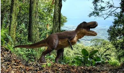 Dinosaur Tirex in the rain forest. Realistic image of the animals.  Generative AI 22771575 Stock Photo at Vecteezy