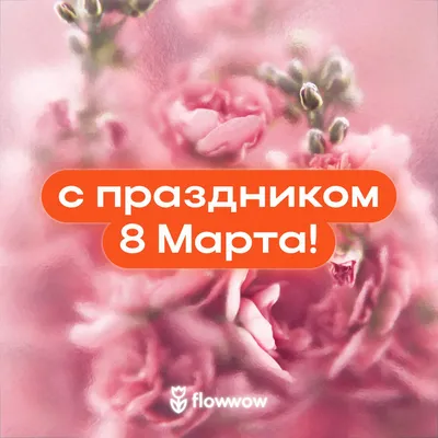 Красивые тюльпаны на 8 марта открытки, поздравления на cards.tochka.net