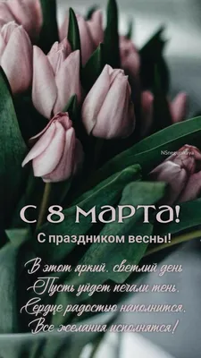 8 марта, тюльпаны, красивые букеты, доставка цветов, рязань, первоцветы,  цветы рязань, доставка цветоы, заказать букет