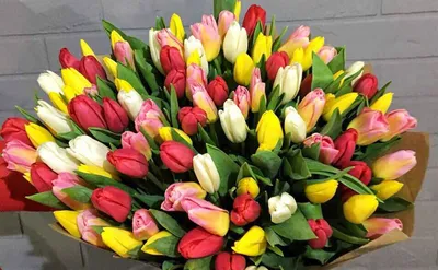 Букет тюльпанов «С 8 марта!» - купить по выгодной цене в Кемерово