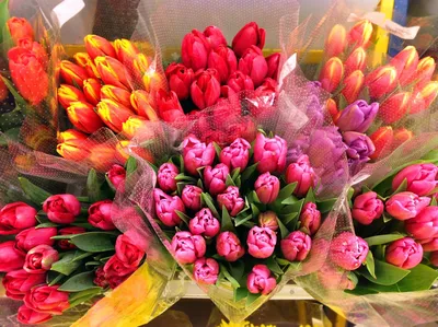 Открытка \"8 Марта\" белые тюльпаны — магазин подарков Макс-ГИФТ