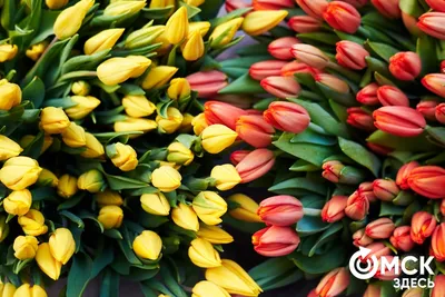 Аналитики спрогнозировали стоимость букета цветов к 8 Марта — РБК