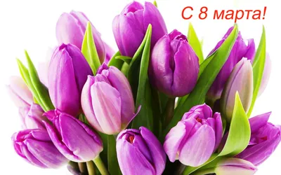 Правила продажи цветов к 8 Марта 2023, где купить тюльпаны в Минске