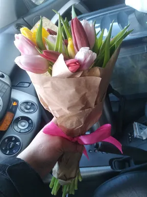 В Гродно начали продавать тюльпаны к 8 марта