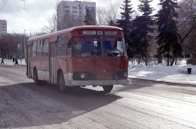 Автобусный тур Новогодняя Тюмень 2024 и термальные источники - туроператор  Вершина Тур Урал