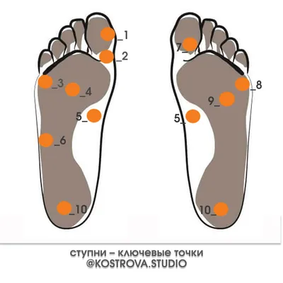 Ступни: важные проекционные точки - Студия эстетики тела Марины Костровой