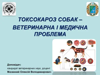 Токсокароз собак - ветеринарная и медицинская проблема. Мазанный А.В. | |  КП Центр обращения с животными | Приют для животных, ветклиника, гостиница  для животных, дрессировка собак, кремация и кладбище для животных в Харькове