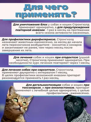 Экопром: Инспектор Квадро С капли от паразитов для собак 10-25 кг, 1  пипетка купить по цене 808 руб. | Планета животных