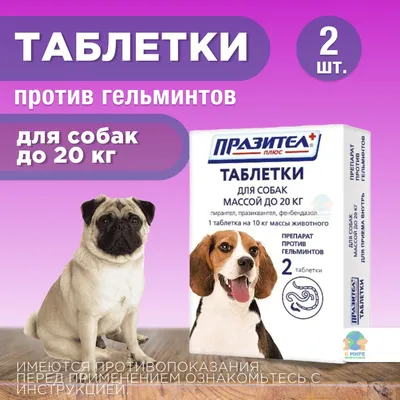 СТРОНГХОЛД Капли на холку для средних собак от 10 до 20 кг от магазина |  Минизоомаркет