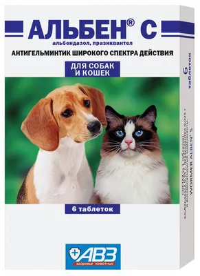 Inspector ошейник от блох и клещей для собак средних пород в  Санкт-Петербурге