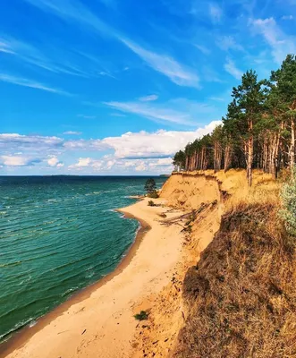 Буревестник (кинотеатр, Тольятти) — Википедия