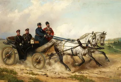 Фотография толстой лошади в полете.