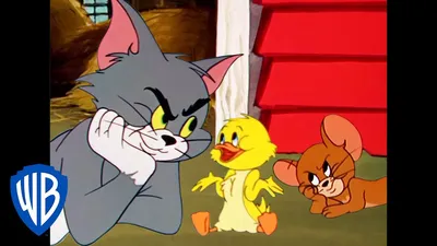 Поздравляем Tom and Jerry