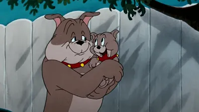 Who is the dog from Tom and Jerry?