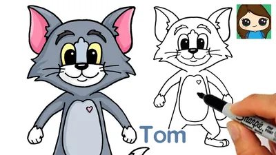 300+] Tom And Jerry Pictures | Wallpapers.com