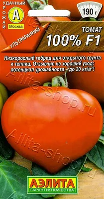 Томат \"Мамонтенок\". Этот сибирский сорт – новинка заслуживает высших  похвал! | Огородная азбука Ольги Черновой. | Дзен