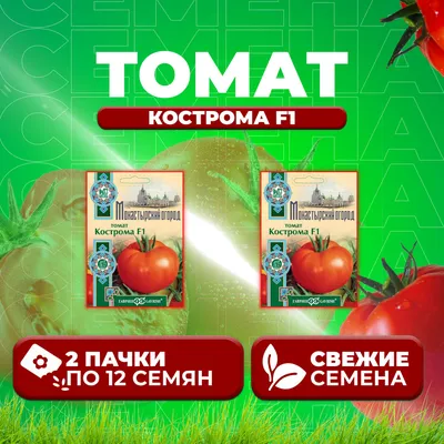 Томат Кострома вырастила первый раз и оцениваю его урожайность | Дача  ягодки цветочки | Дзен