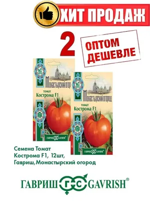 Розовый сон» порадовал юных костромских агрономов размерами плодов | ГТРК « Кострома»