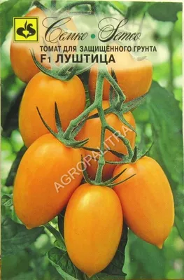 Семена - Продукция - Агрофирма «Наш Сад»