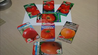 Семена Томат Черномор, ОГ - купить по выгодной цене | Урожайка