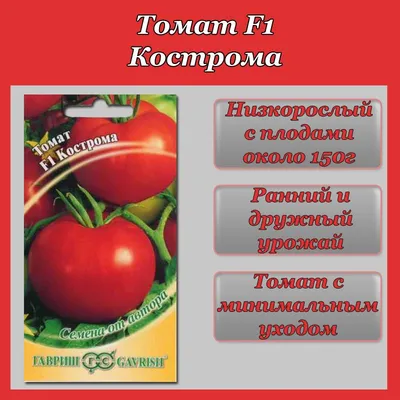 Проверенные и новые сорта томатов на 2020г Кострома - YouTube