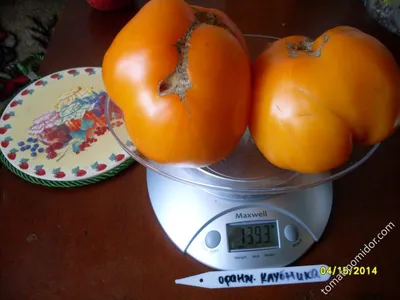 Томаты Сибирский сад томаты Сибирская коллекция - купить по выгодным ценам  в интернет-магазине OZON (830646677)