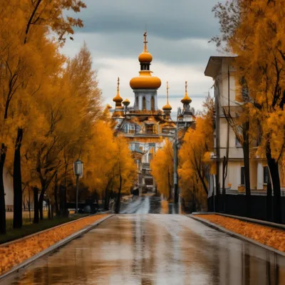 В Томске до +10 градусов прогнозируют синоптики 7 октября | ОБЩЕСТВО | АиФ  Томск