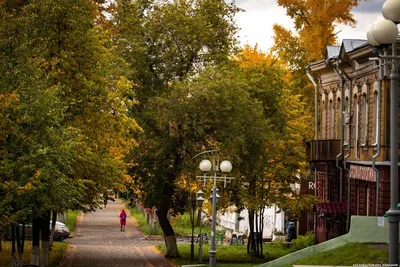 Золотая осень пришла в город: фоторепортаж с улиц Томска