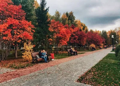 Осень в Томске | Пикабу