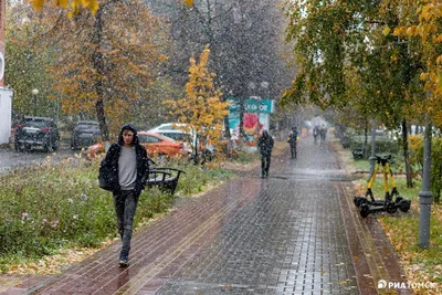 Золотая осень в Томске | Пикабу