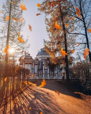 Золотая осень в Томске | Пикабу