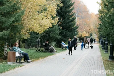 В Томске похолодает до +5...+7 градусов 22 октября - KP.RU