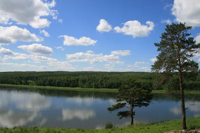 На что можно посмотреть в Томской Писанице | Native Travel️🍀Простые  Поездки | Дзен