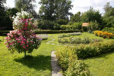 Сибирский ботанический сад, Томск. Сайт, отели рядом, фото, видео, как  добраться — Туристер.Ру