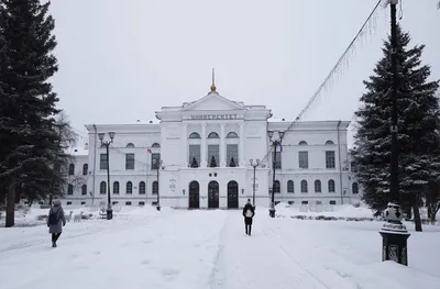 Научная библиотека Томского государственного университета — Википедия