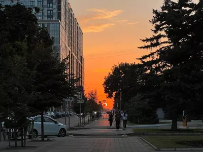 Топ-4 городов за неделю: Краснодар – самый розовый, Ставрополь –  услужливый, Воронеж – полуголый, Ростов – самый продажный