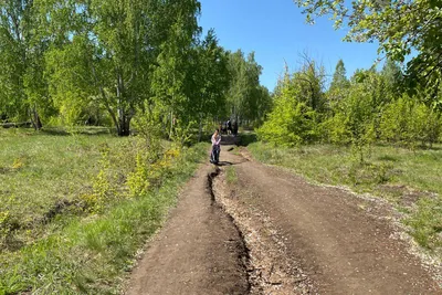 Домклик — поиск, проверка и безопасная сделка с недвижимостью в Челябинске