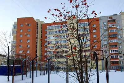 Тополиная аллея в Челябинске и посёлок Шершни, жизнь в новых микрорайонах  на Северо-Западе 19 августа 2019 г - 19 августа 2019 - 74.ru