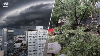 Ураган в Москве снес часть стены Кремля (видео) — Today.kg