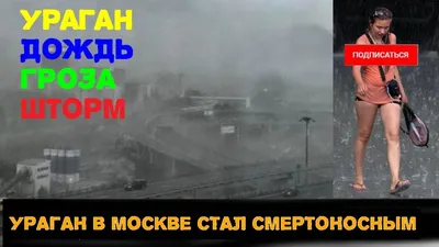 Ураган в Москве унес 16 жизней: «Я испугался до смерти» | 07.10.2022, ИноСМИ