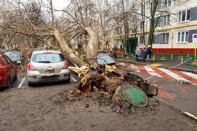 Ураган в Москве 1998 года