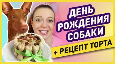 Торты для собак (@dogbakeryspb) • Instagram photos and videos