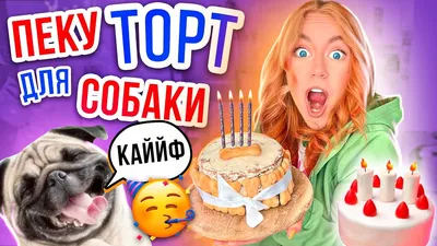 Торт с собакой Бигль (На Заказ) Купить С Доставкой В Москве!