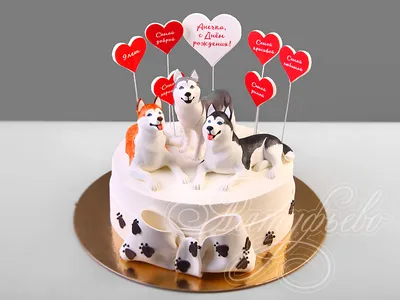 cake for dogs торт для собак | Торты для собак, Собаки, Торт