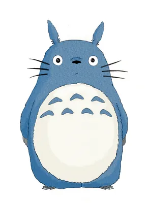 Totoro .Wariatka. - Illustrations ART street