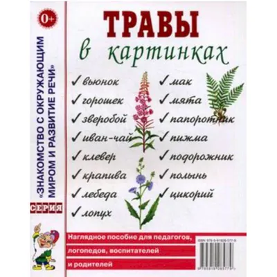 Детский травник, купить по лучшей цене Детский травник, Познавательная и  развивающая литература, продажа Познавательная и развивающая литература,  Книги для детей, Белый город в интернет-магазине детских товаров москва